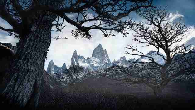 Patagonia